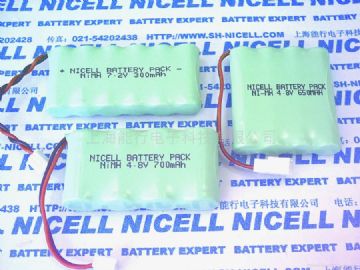 Nicell Rechargeable Battery Packs