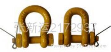 Us Type Forged Shackle, High Test Shackle