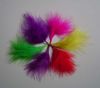 Coloured Turkey Feather