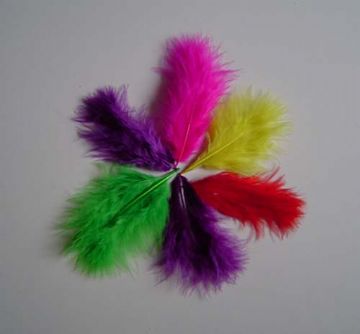 Coloured Turkey Feather