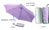4 Folding Umbrella