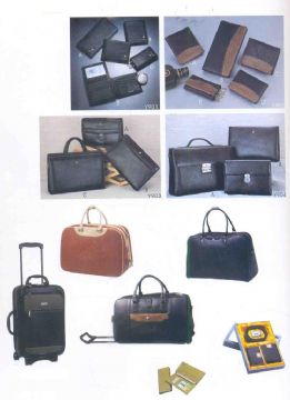 Briefcase, Computer Bag