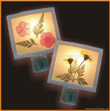 Four Leaf Clover Or Pressed Flower Lamp / Night Light