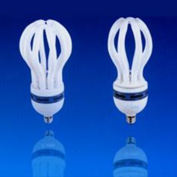 Annular  Energy Saving Lamp