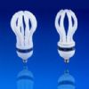Annular  Energy Saving Lamp