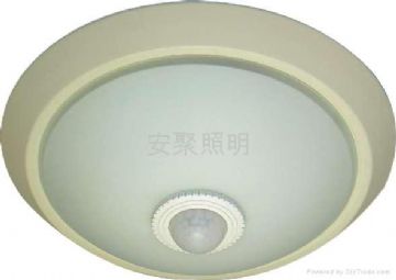 Sensor Lamp(D# Spray_Paint Frosting)