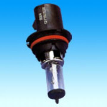Autobulb Halogen Bulb 9004/9007