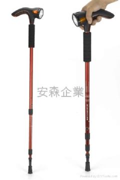 Multifunction Walking Stick