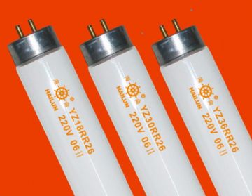 Fluorescent Tube Lamp