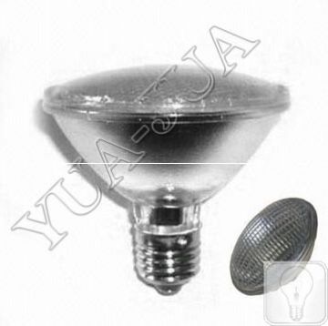 Par Led Lamp