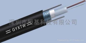 Optical Fiber Cable Gyxtw Central Loose Tube Armored Outdoor Cable