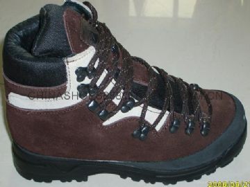 Hiker Shoes 5504