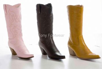 Lady's Fashion Boot (1)