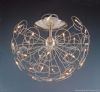 Pendant Lamp Ceiling Lamp