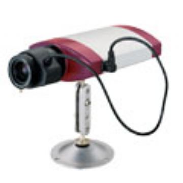 Ip Camera